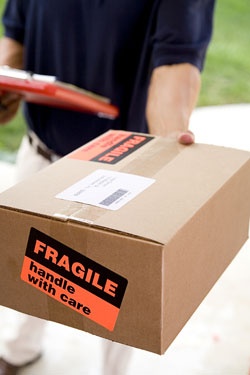 Delivery Information 